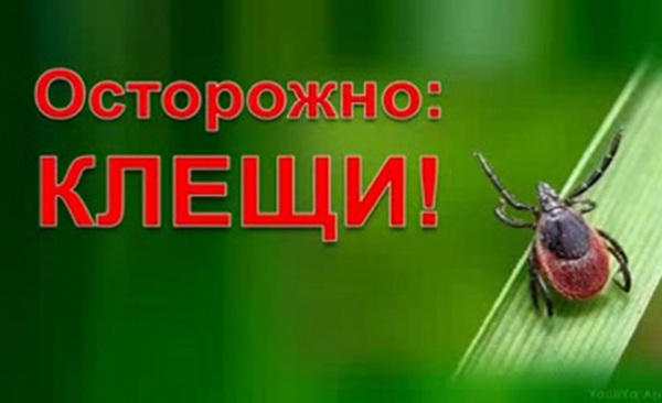 Осторожно клещи!.